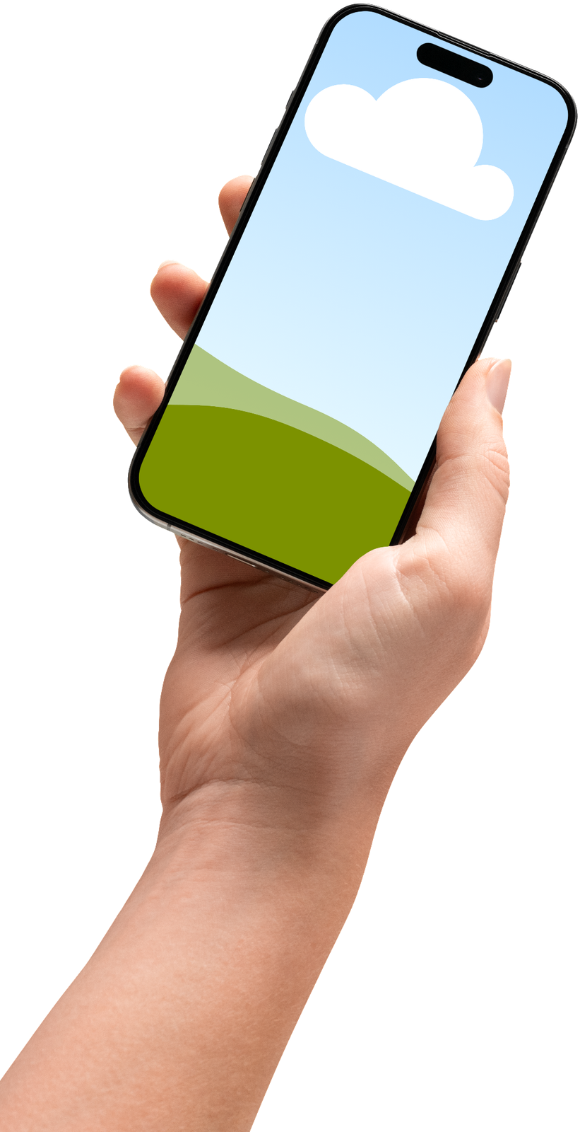 person holding a phone